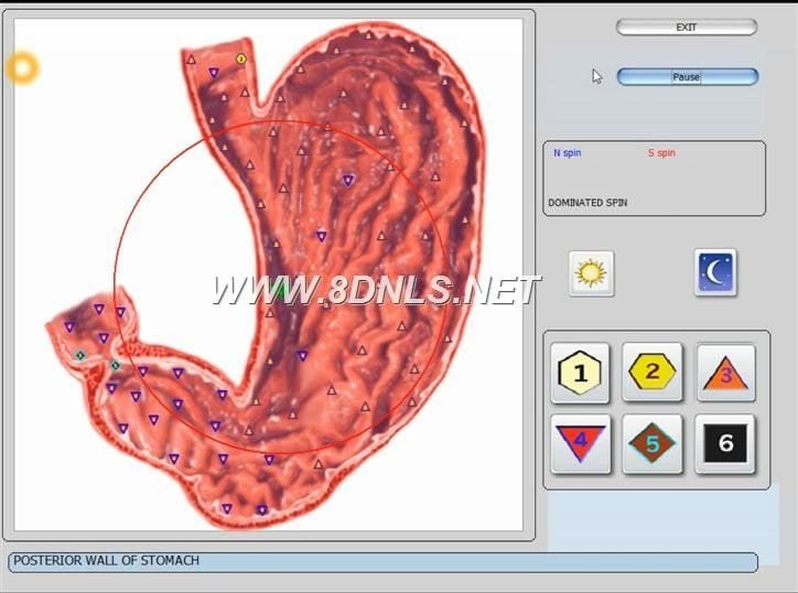 what-is-nls-3d-nls-health-analyzer-3d-nls-health-analyzer-price