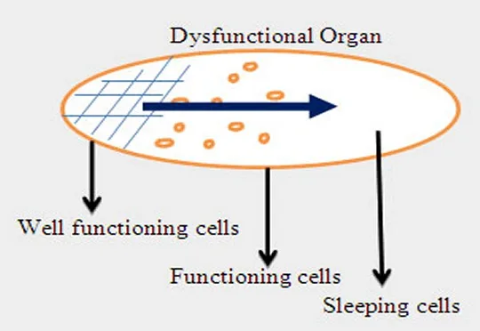 How to working the 3D NLS health analyer (2)