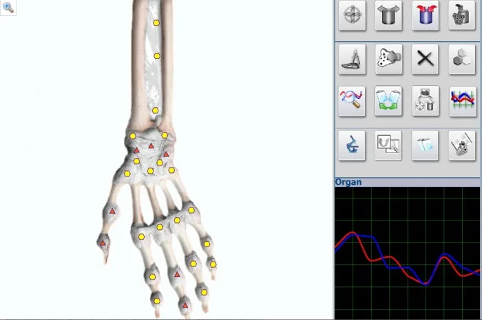 Black Virtual Scanning High Accuracy Metatron Nls 4025 Hunter Body Analyzer Multilanguage software 2