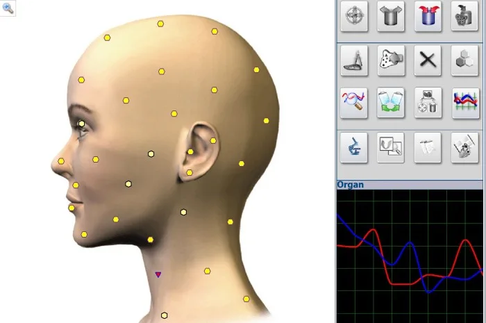 Nuclear Magnetic Resonance Quantum Health Composition Metatron 4025 Hunter Analyzer software