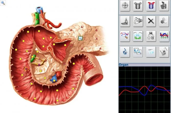 pl5973630-portable_biofeedback_health_analyzer_metatron_nls_4025_hunter_for_quantum_detector_high_accuracy