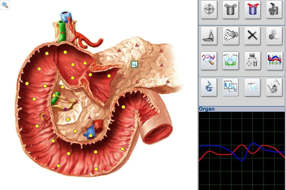 pl5973630-portable_biofeedback_health_analyzer_metatron_nls_4025_hunter_for_quantum_detector_high_accuracy