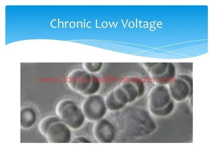 What Is Bioresonance 2