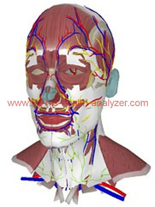 Metapathia GR Clinical