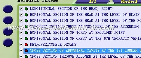 bioscanner 3d nls