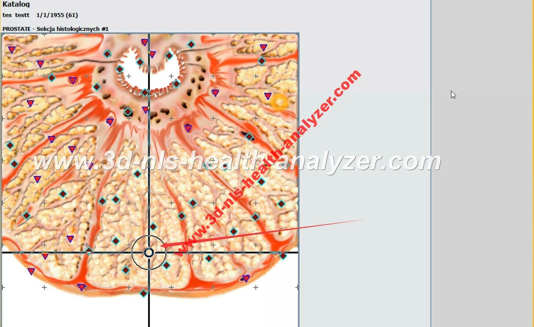 metapathia gr clinical