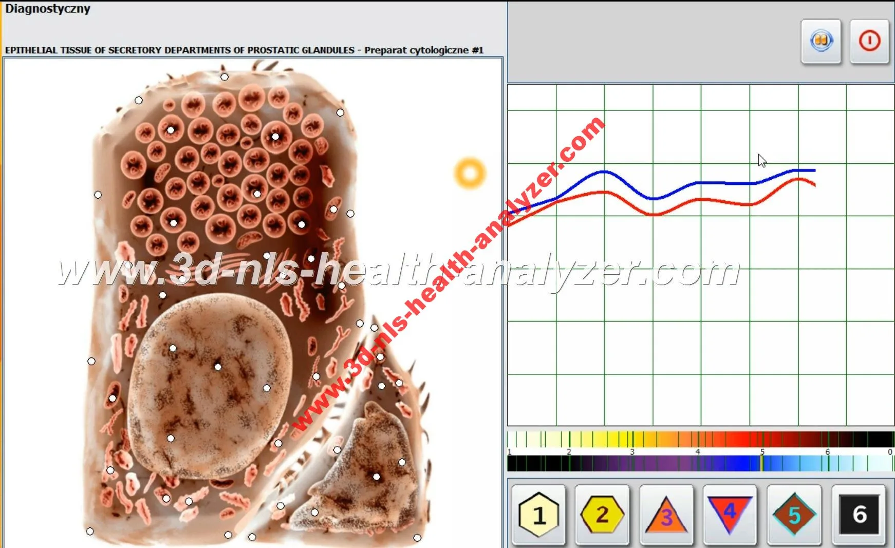 metapathia gr clinical 3d