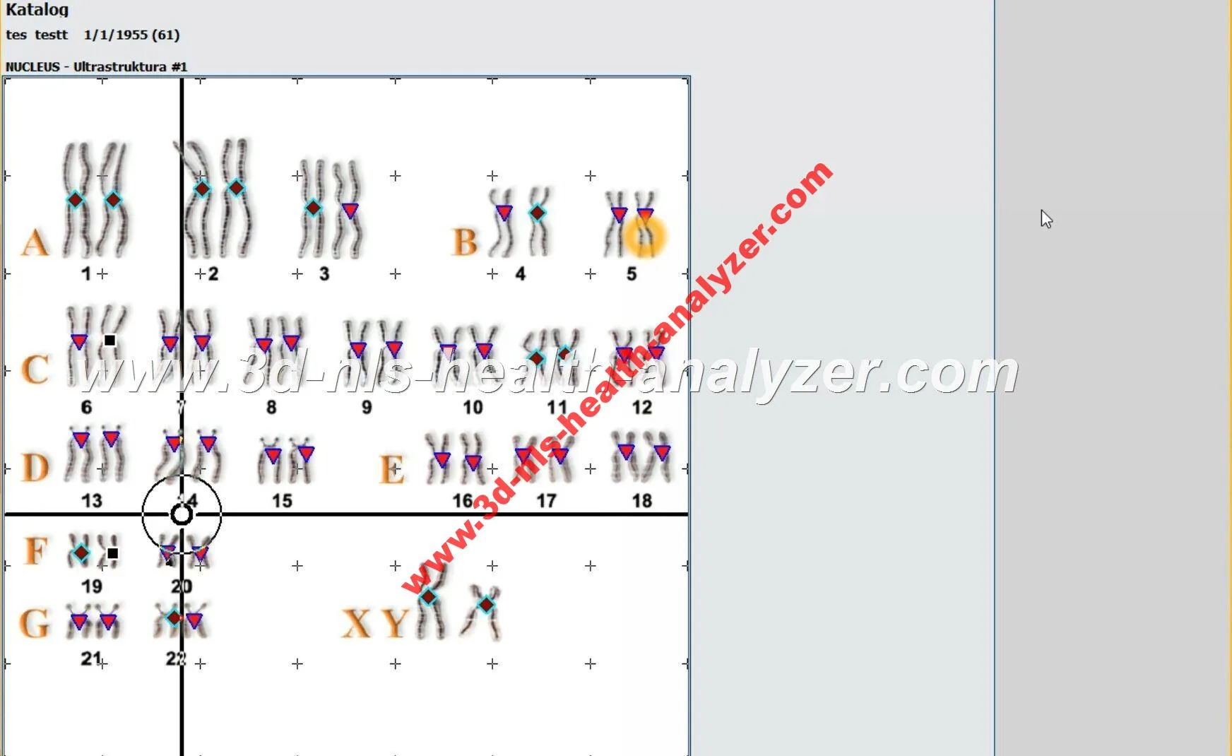 metapathia gr clinical software