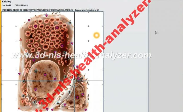 metapathia gr professional