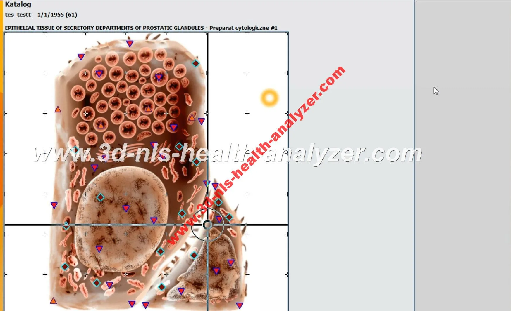 metapathia gr professional