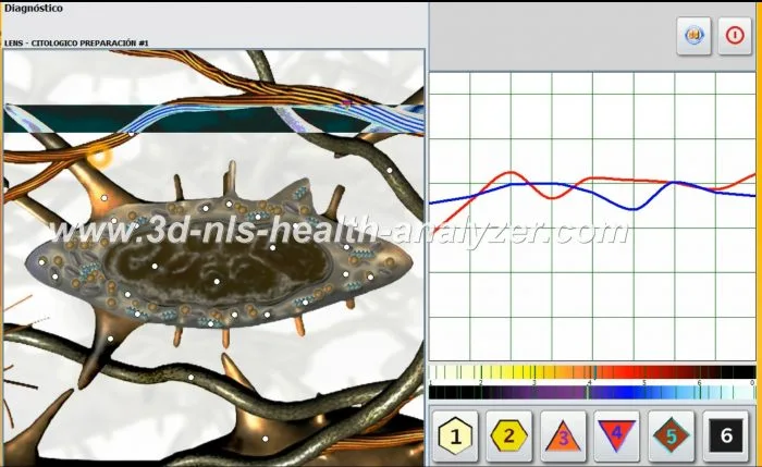 health diagnostic scanner 3d