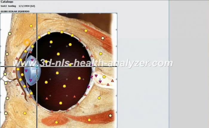 health diagnostic scanner 3d