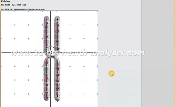metatron nls diagnostik