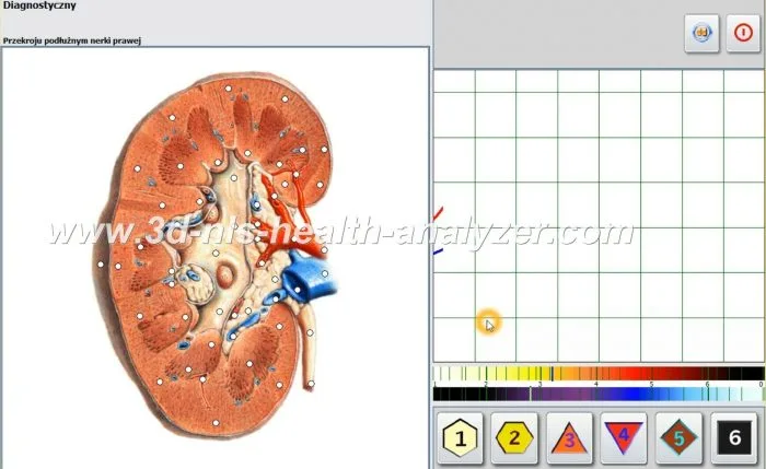 metatron nls diagnostika