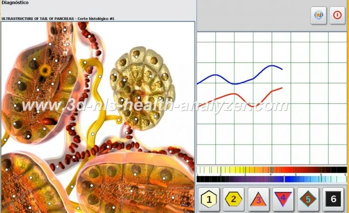 nls-diagnostik-systeme oberon