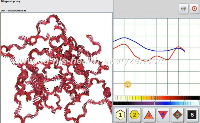sistem de diagnostic nls metatron