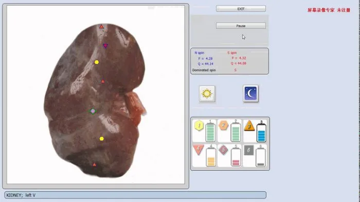 3d nls plus software 22