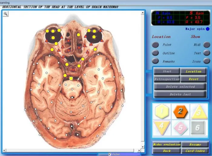 3d cell nls software