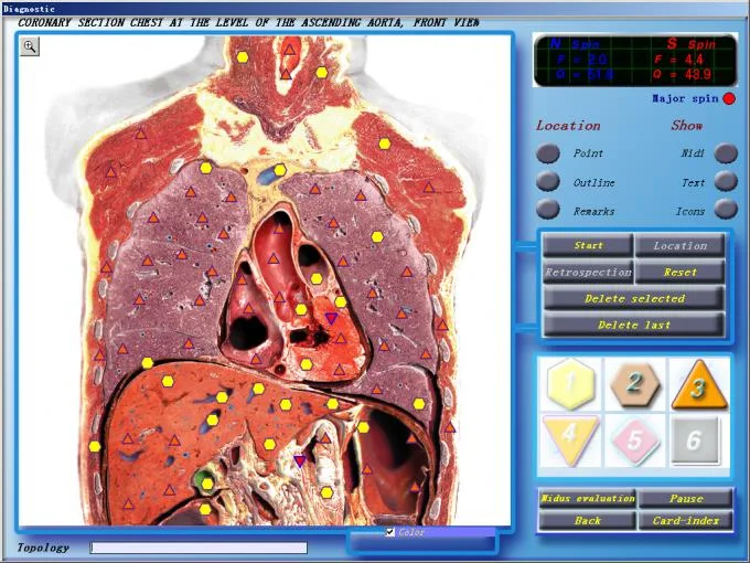 3d cell nls software