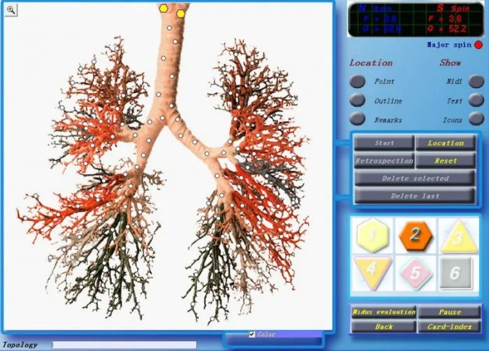 3d cell nls software