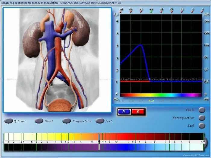 3d nls software download