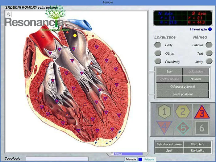 bioplasm 3d nls
