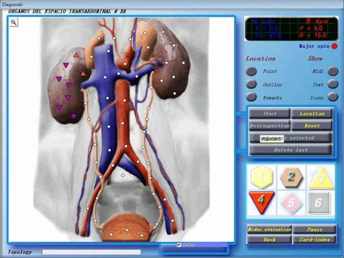 3d body analyzer