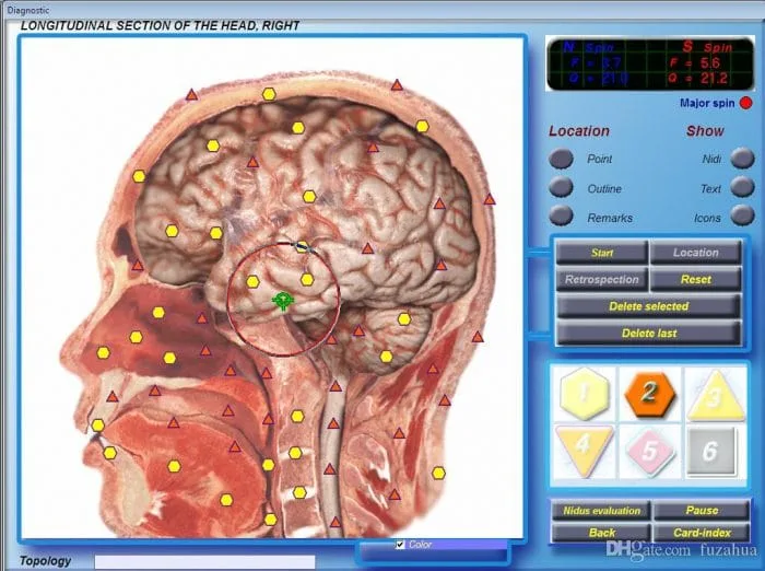 3d nls software