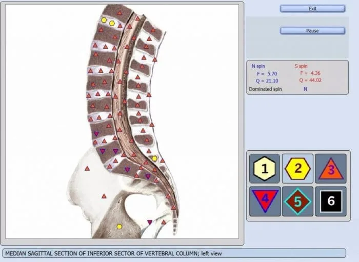 analizador cuantico 3d