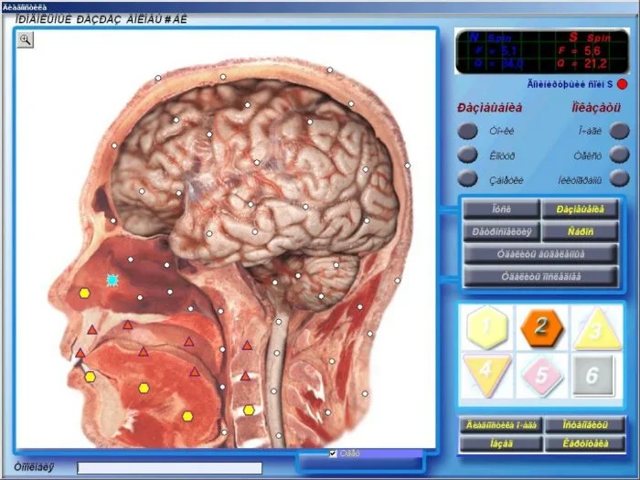 escaner 3d nls