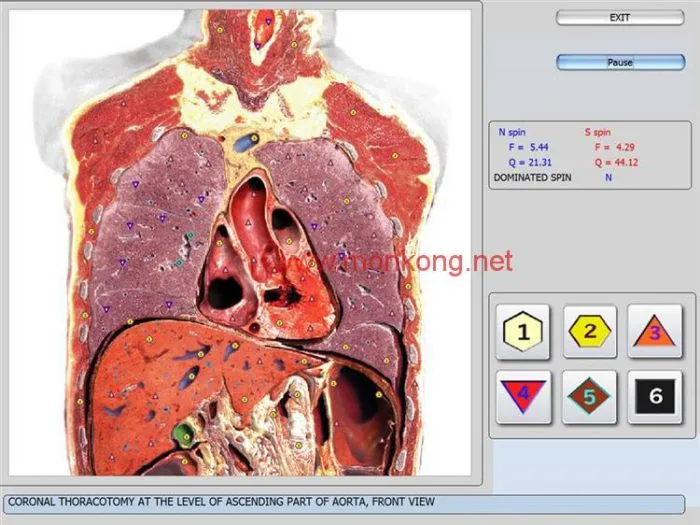 3d nls review