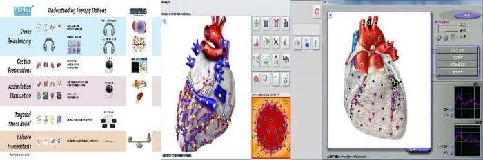 3d nls sub health analyzer