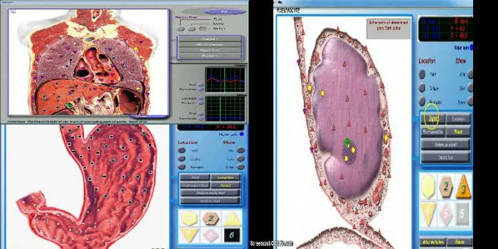 3d nls sub health analyzer