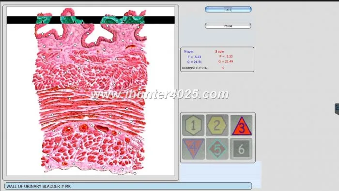 3d nls vs 9d nls 17 Bioplasm 9D NLS