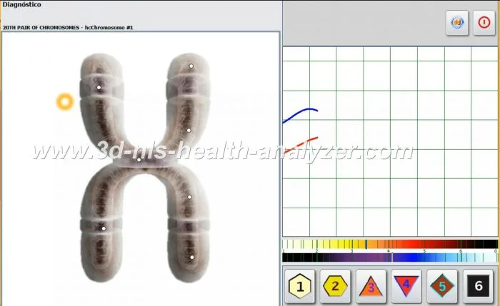 Oberon Metatron Diagnosis Machine