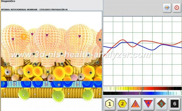 metatron nls diagnostic