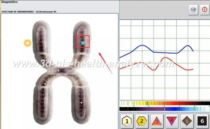 metatron nls diagnostic