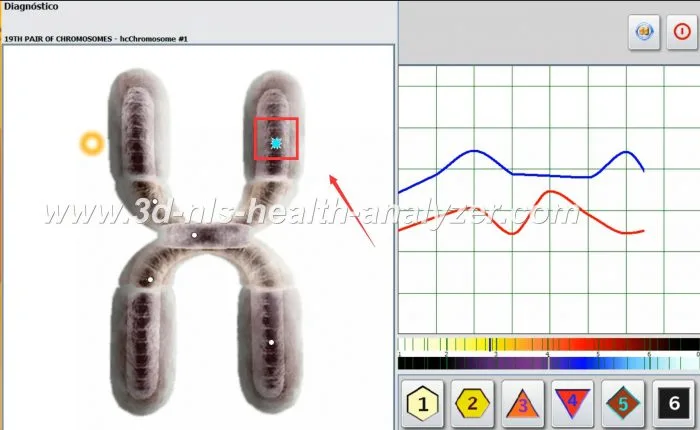 metatron nls diagnostic