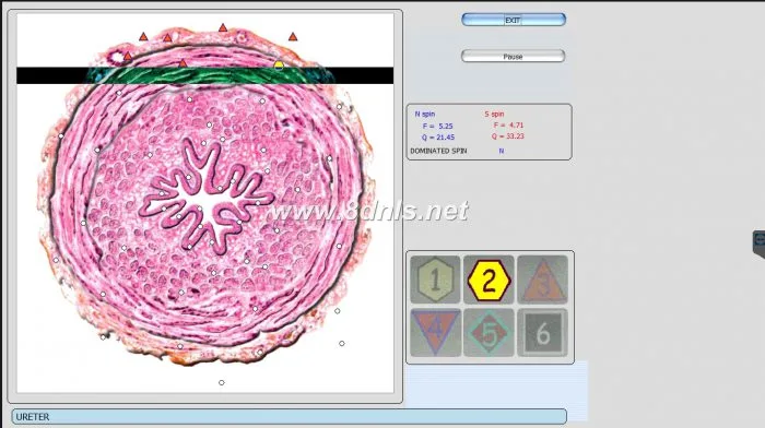 8D NLS Health Analyzer