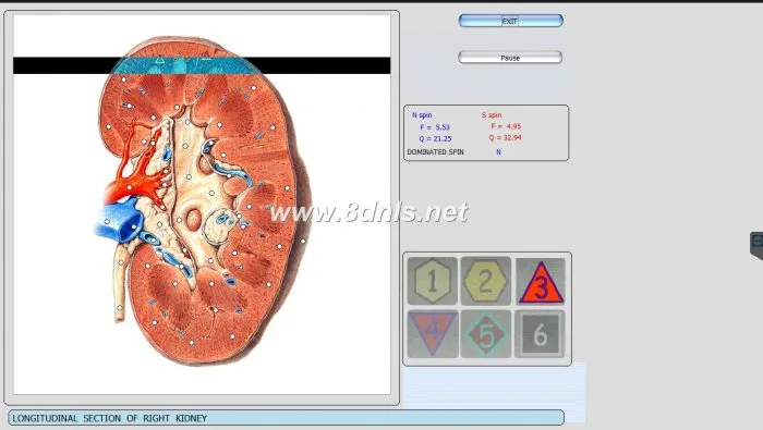 8D NLS Health Analyzer