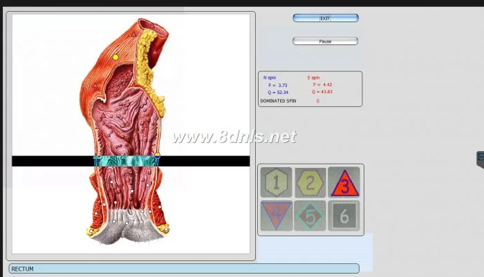 8D NLS Health Analyzer