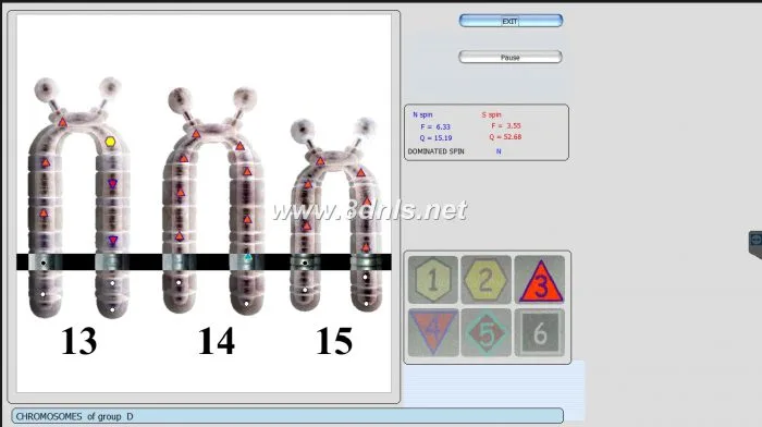 8D NLS Health Analyzer