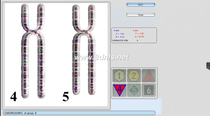 8D NLS Health Analyzer