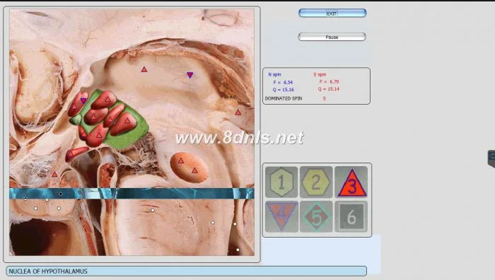 8D NLS Health Analyzer