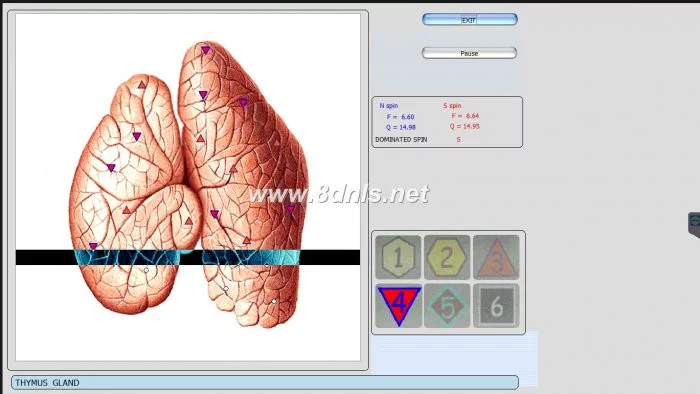 8D NLS Health Analyzer
