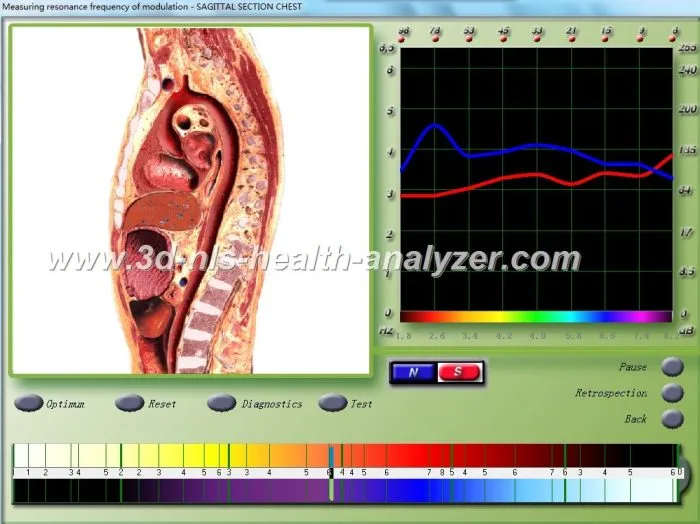 3D-NLS Plus Software V1.3.1