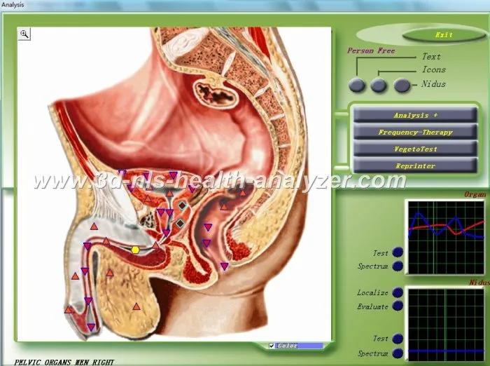3D-NLS Plus Software V1.3.1