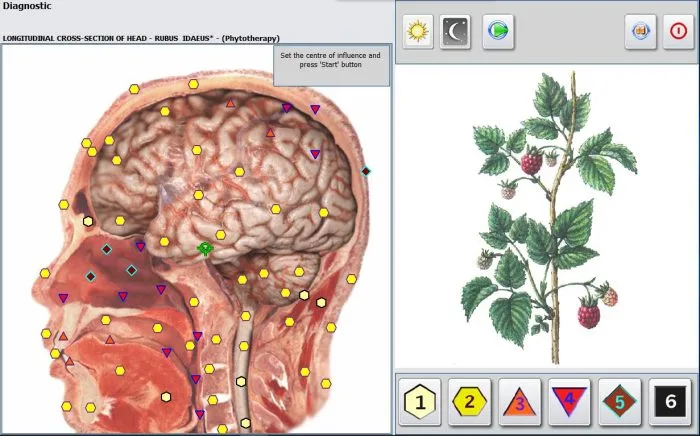 Metatron NLS in the UK: Your Gateway to Quantum Health