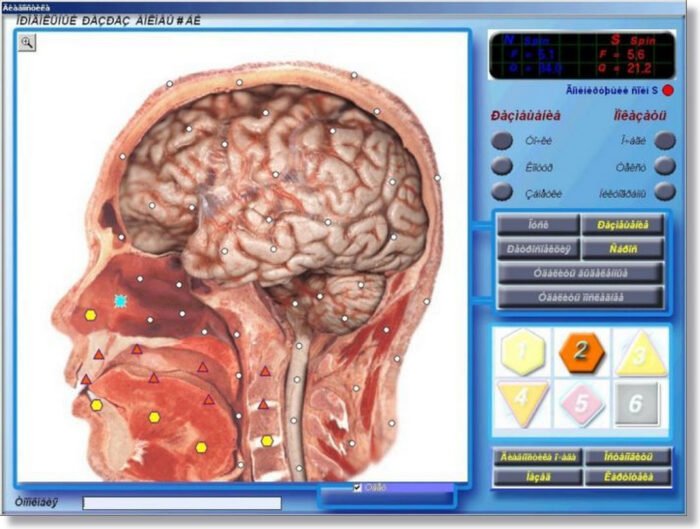 3D NLS Health Analyzer Price