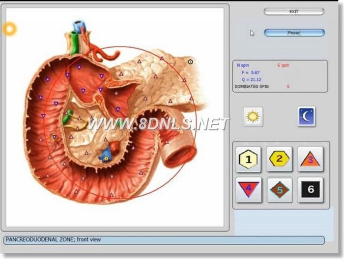 9D NLS Health Analyzer